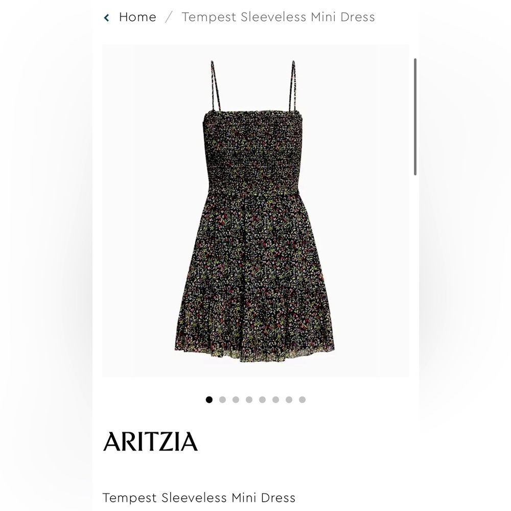 Aritzia Tempest Sleeveless Mini Dress